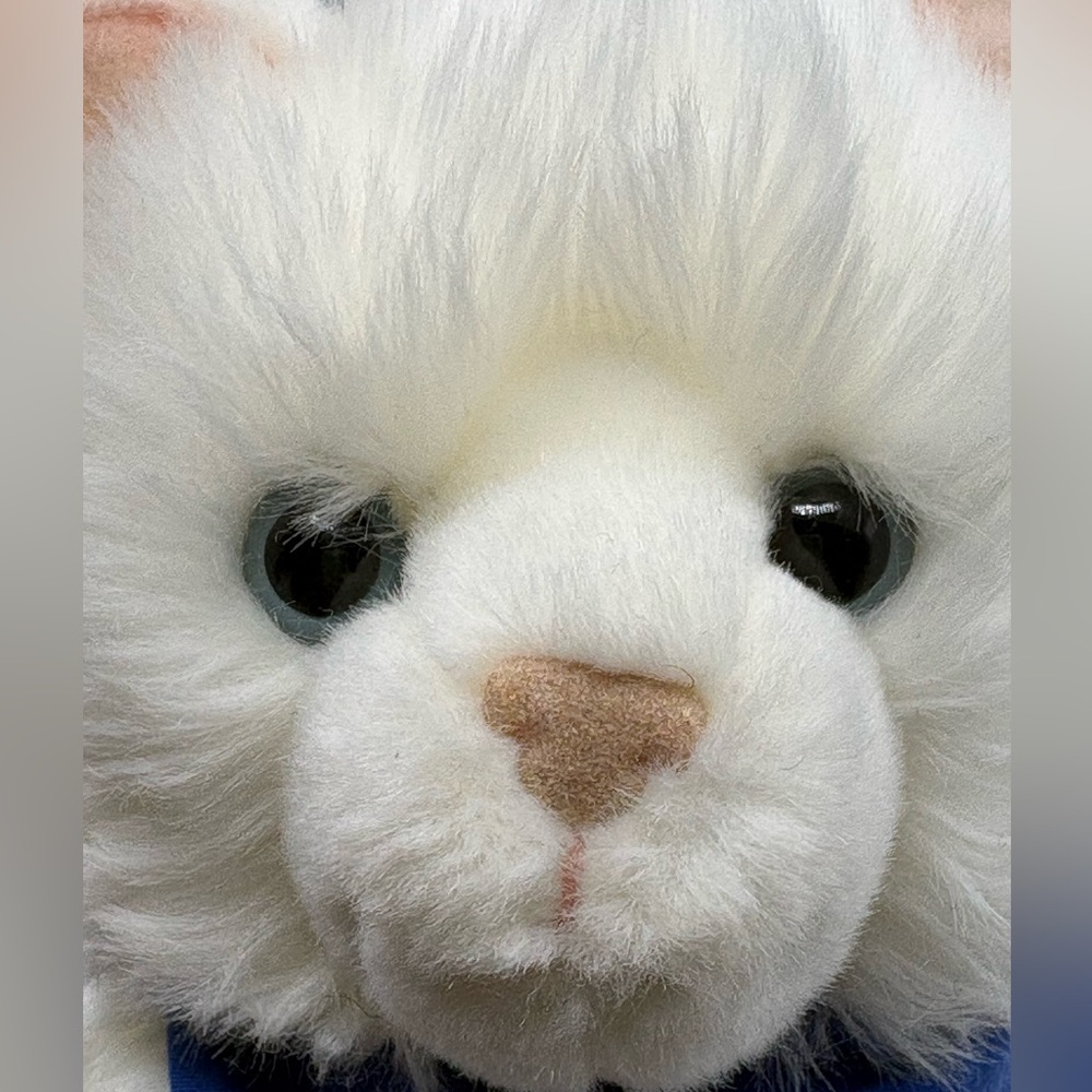 2016 Douglas Cuddle Toy Sitting White Cat 10” Soft Persian Plush Stuffed #2805 - Picture 2 of 16